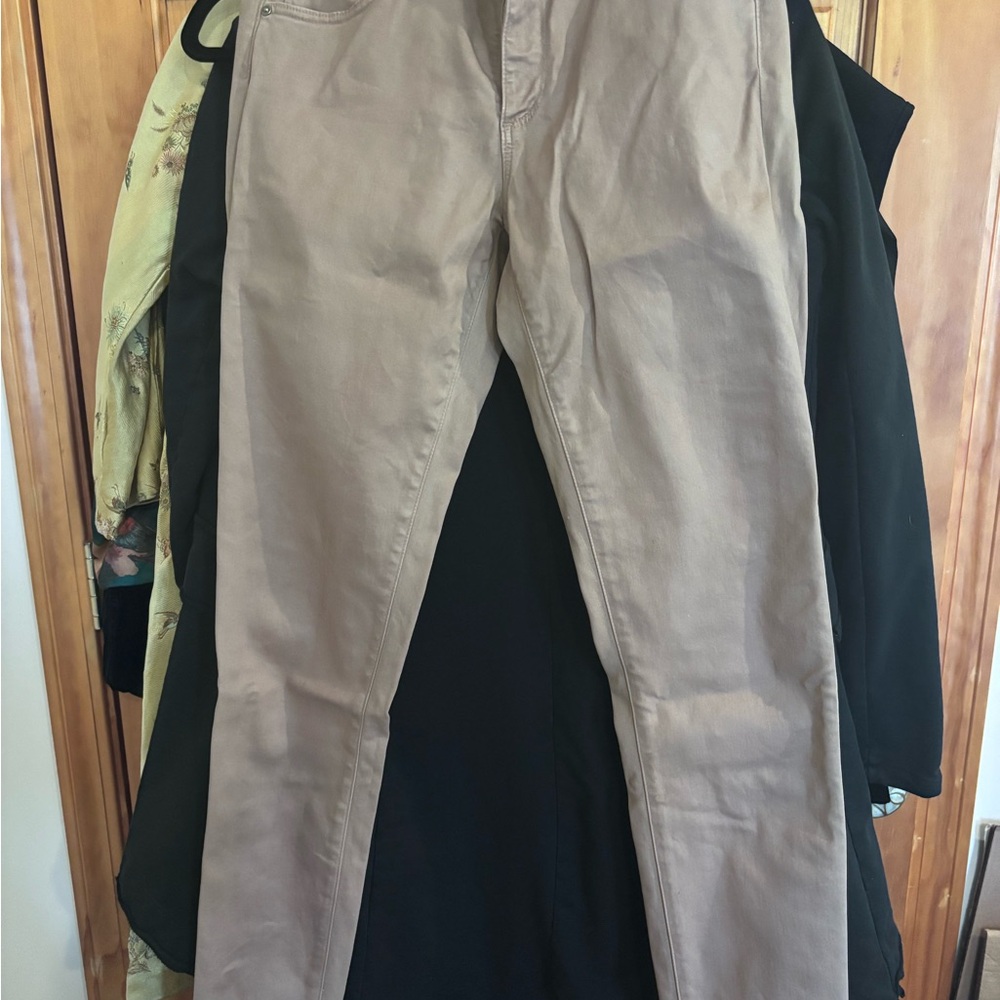 AG Adriano Goldschmied Women's Beige Jeggings